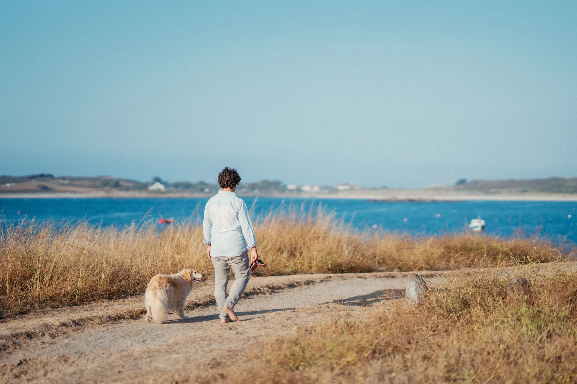 timothy james walking the coast path with a golden retriever