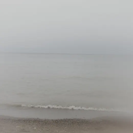 a still, foggy shoreline